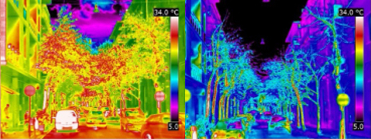 panoramica-con-riferimento_campagna_1-2-3_ed3